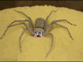 giphypavuk.gif